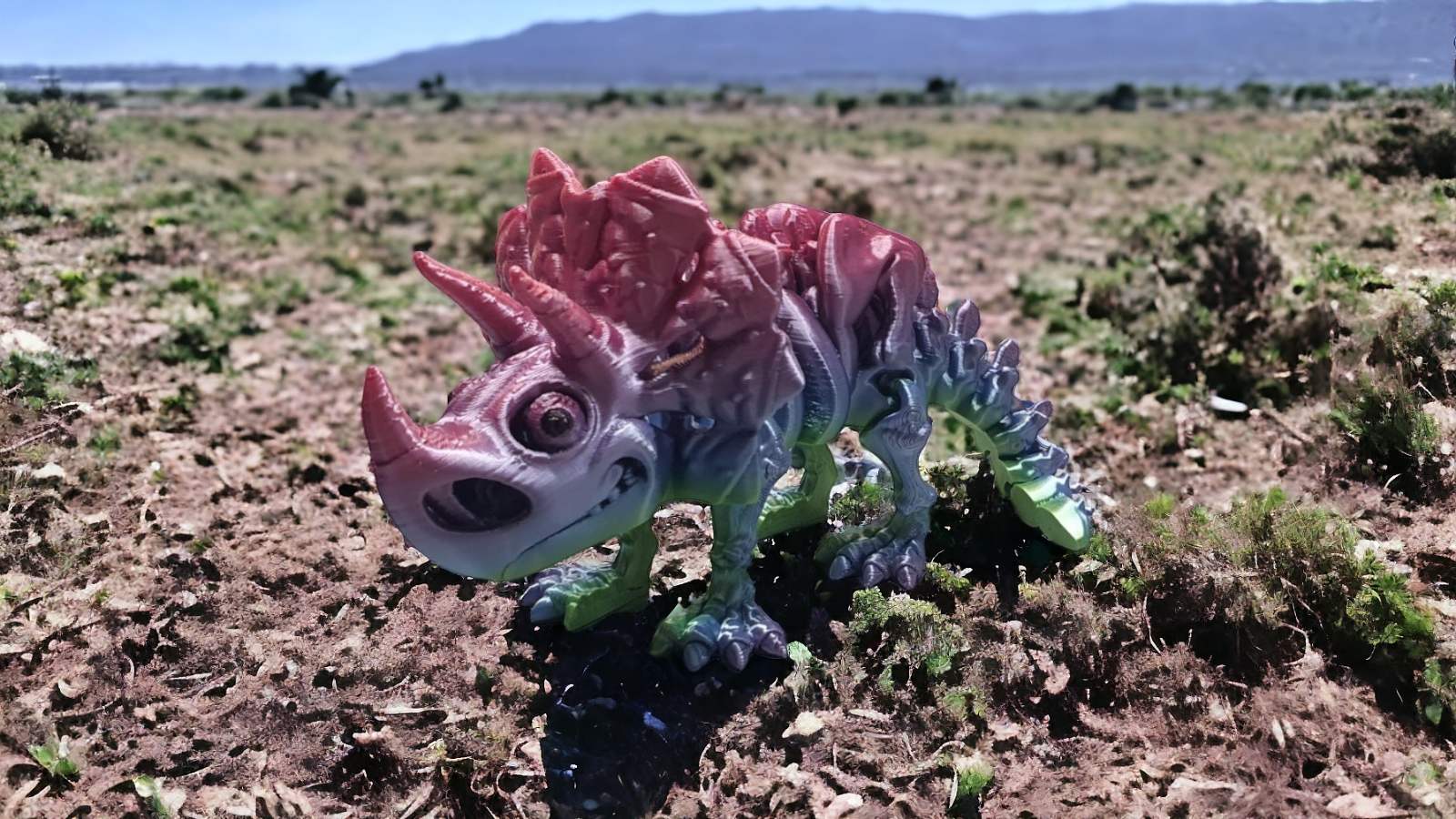 Dinosaur Triceratops multi