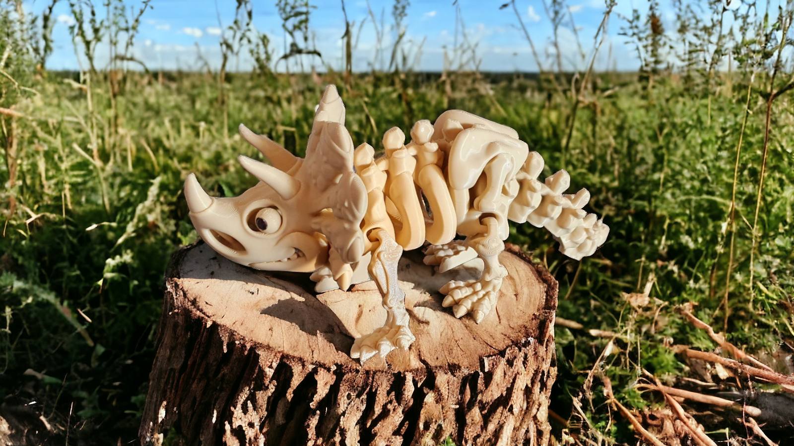Dinosaur Triceratops