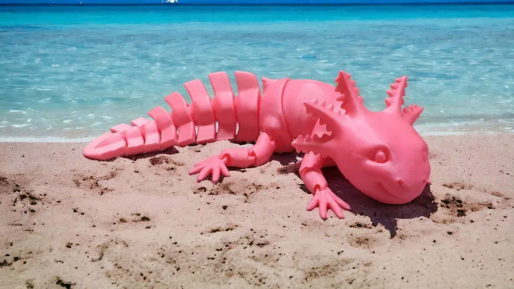 Axolotl ružový