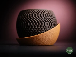 Váza