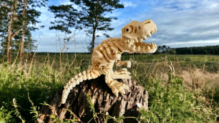 Dinosaur T-REX