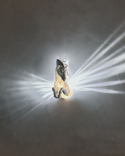 Nočná lampa Pegasus