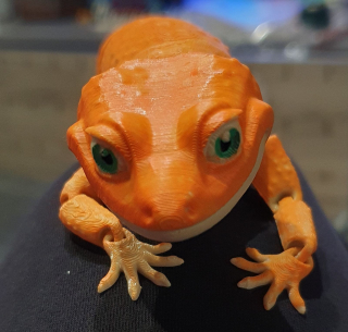 Gekón